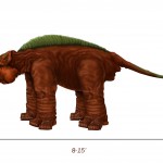 Mountain Herbivore- Tai jungle and mountain regions