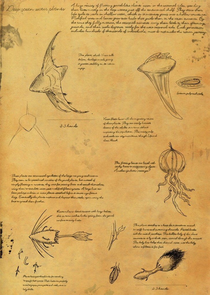 pics of ocean plants. Ocean Plants page 2