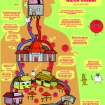 Circulatory System and Major Organs map; Illustrator. 2011