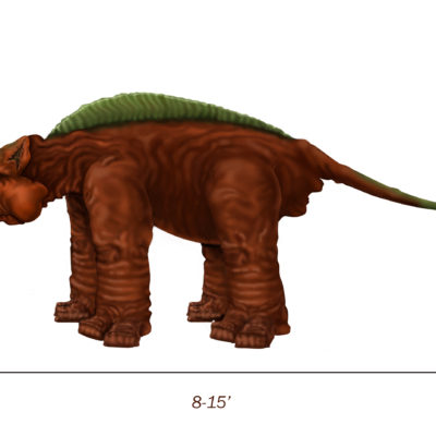 Mountain Herbivore- Tai jungle and mountain regions 