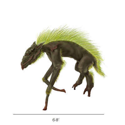 Herbivore- Tai mountain region