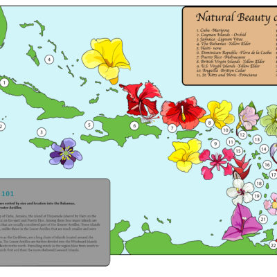 Natural Beauty of the Caribbean; Illustrator. 2009