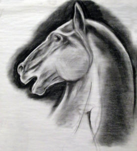 horse